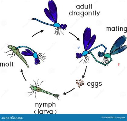  Eenigheidsspelende Echte Meerdaags: Een Insect met een Wonderbaarlijk Levenscyclus!