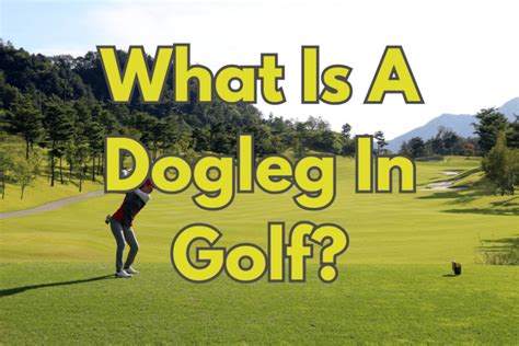 What is a Dogleg in Golf? And Why Do Golfers Love to Hate Them?